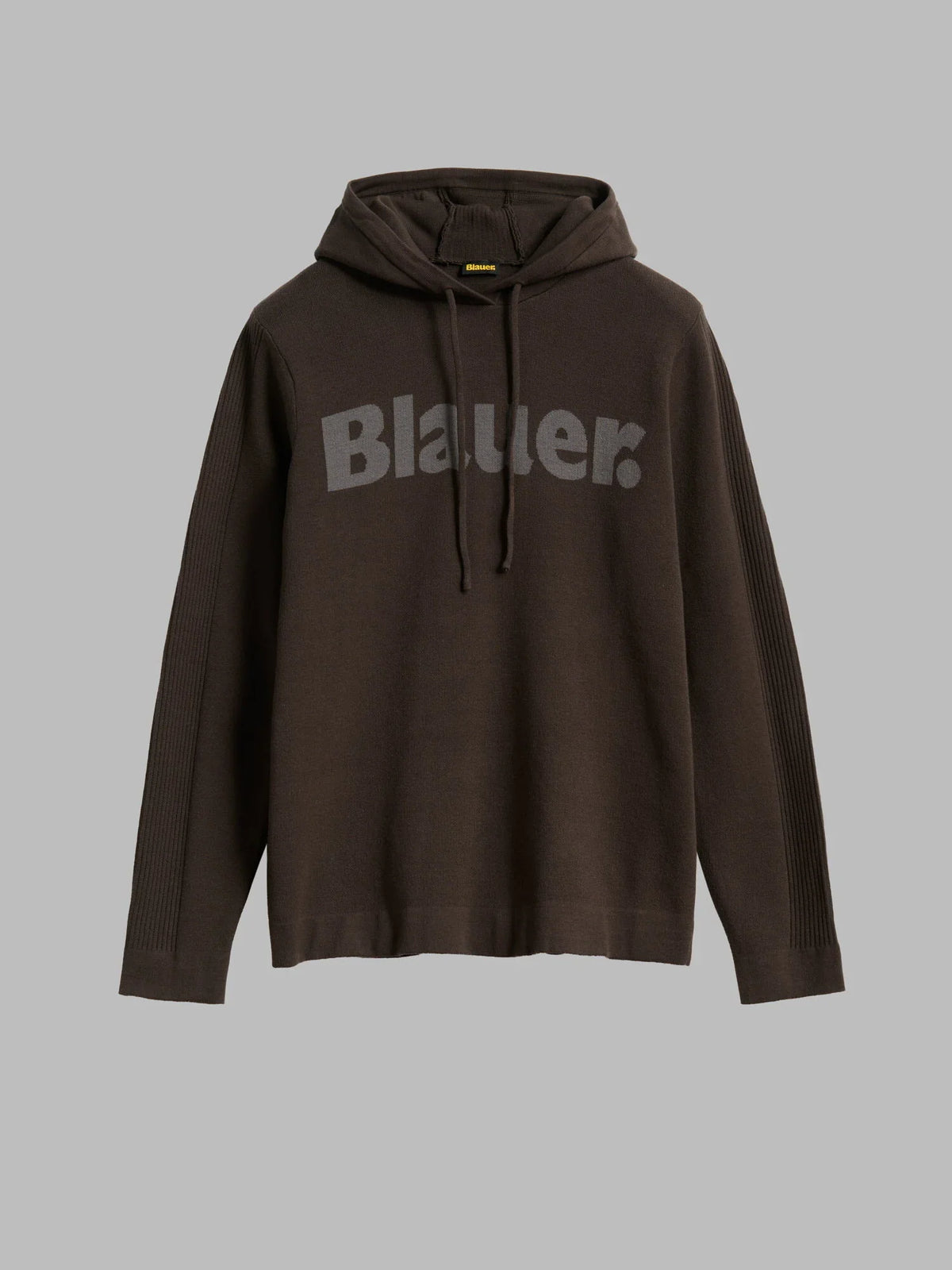 Blauer felpa con cappuccio Uomo modello Parker 26WBLUM09443-006645 920 - immagine 2