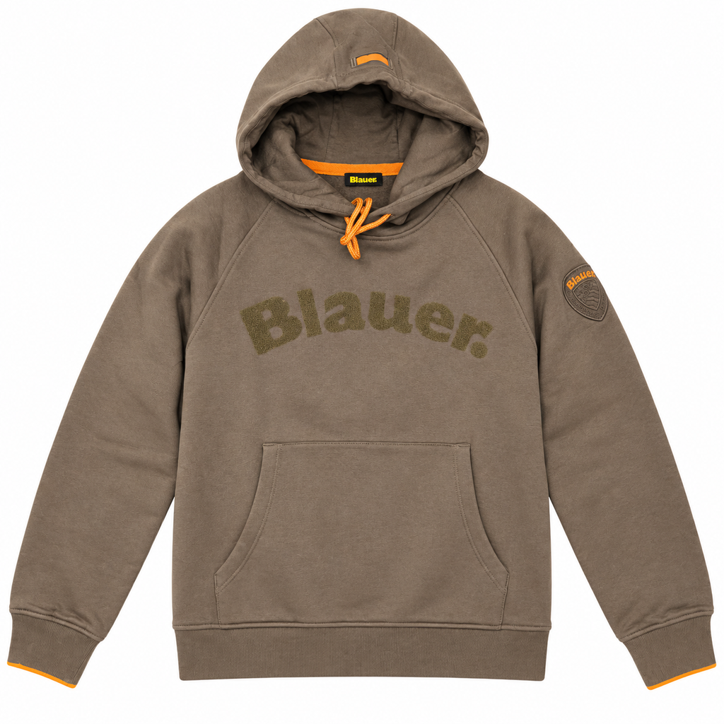 Blauer felpa con cappuccio Uomo modello Academic 26WBLUF08318-007693 382 - immagine 1