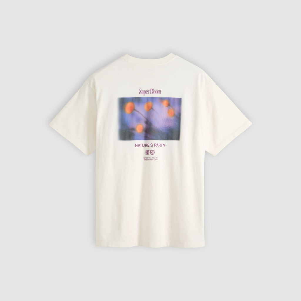 Levi's T-shirt uomo Graphic Vintage Fit Tee 873730431 - immagine 1